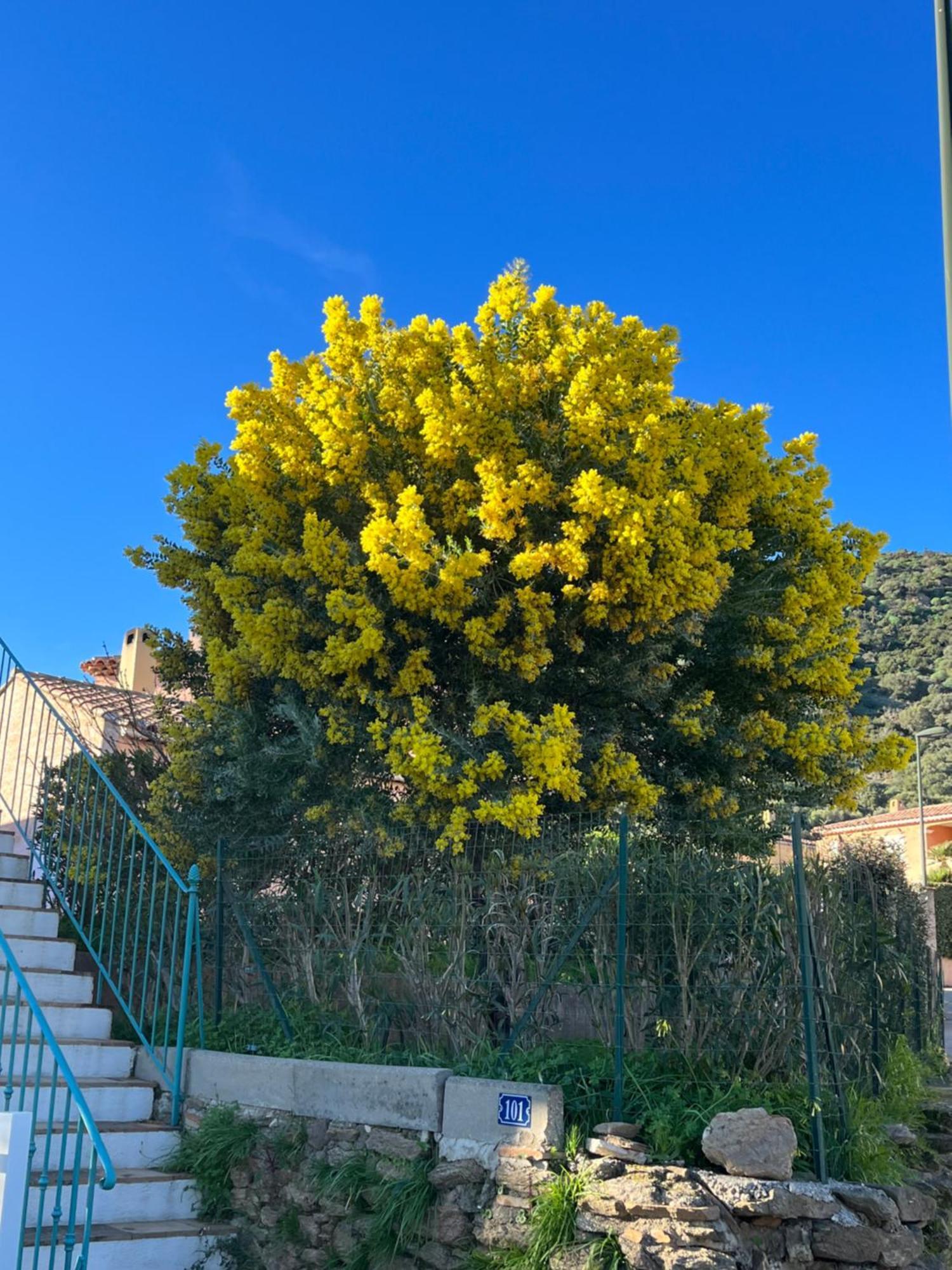 Le Lavandou St Clair Zewnętrze zdjęcie